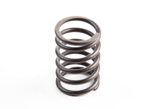 Valve Spring- 29hp + Vanguard