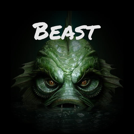 BEAST Performance Package for 40 EFI