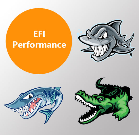 EFI Performance