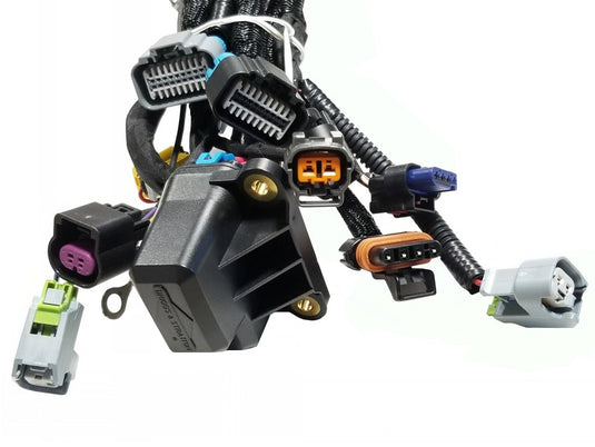 Wire Harness LVG EFI
