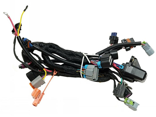 Wire Harness LVG EFI