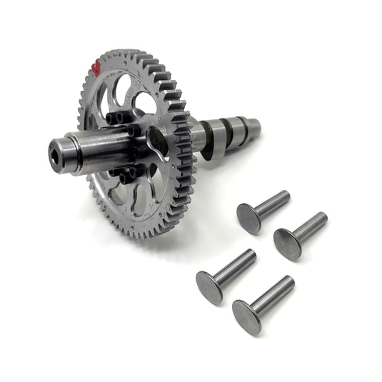 Performance Cam with Tappet Valves Vanguard 21 hp to 23 hp