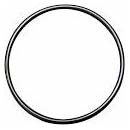 O-Ring #28 (Longtail)