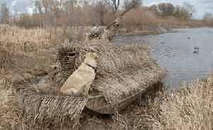 Fastgrass Boat Blind